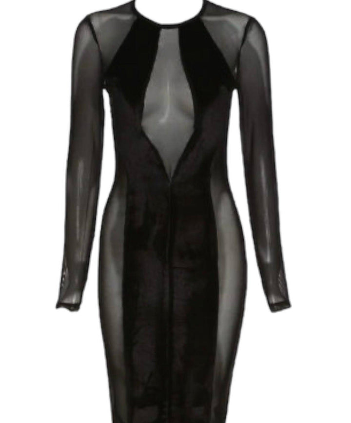 Mesh Bodycon Dress with Velvet Detail - 7Kouture