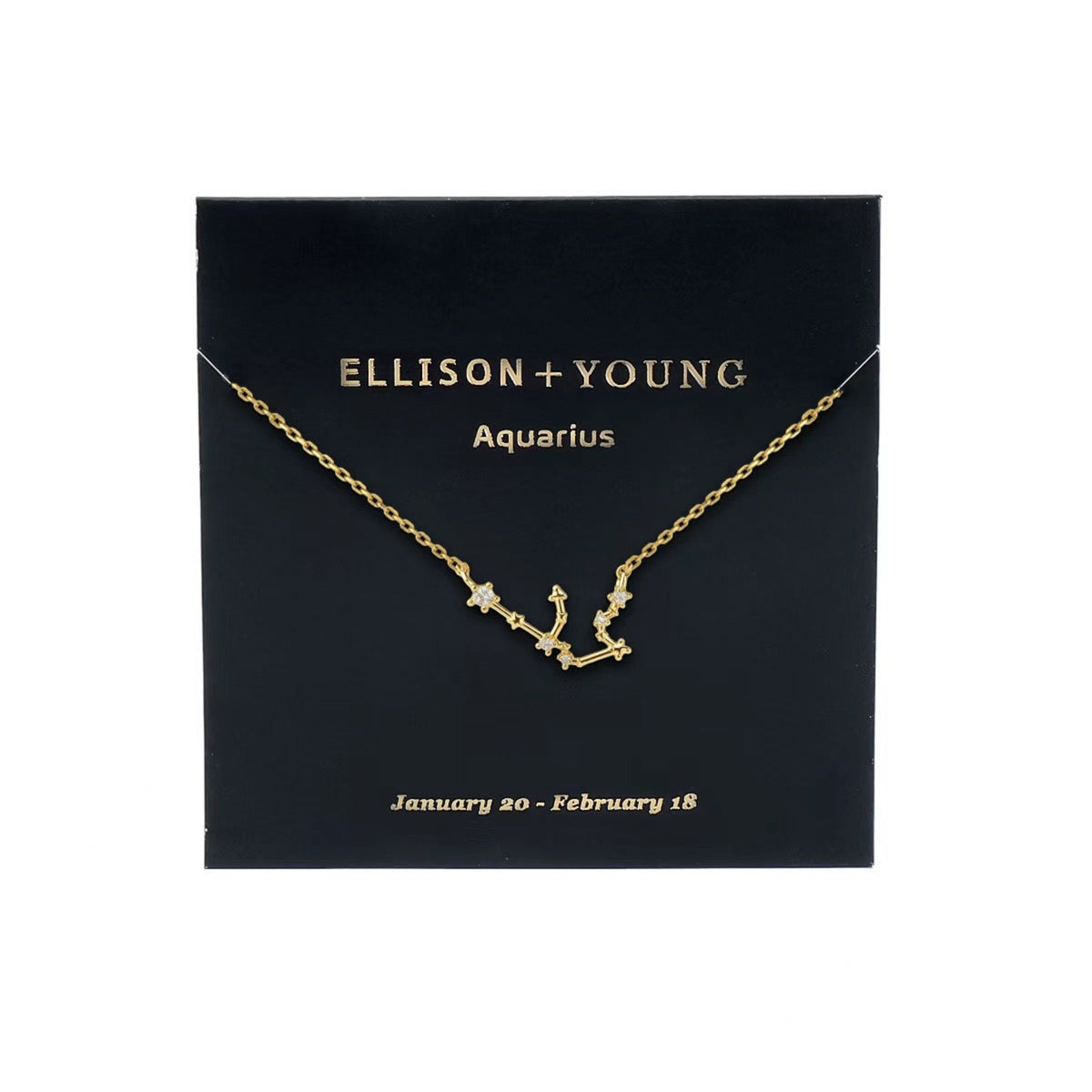 Zodiac Collection Necklace