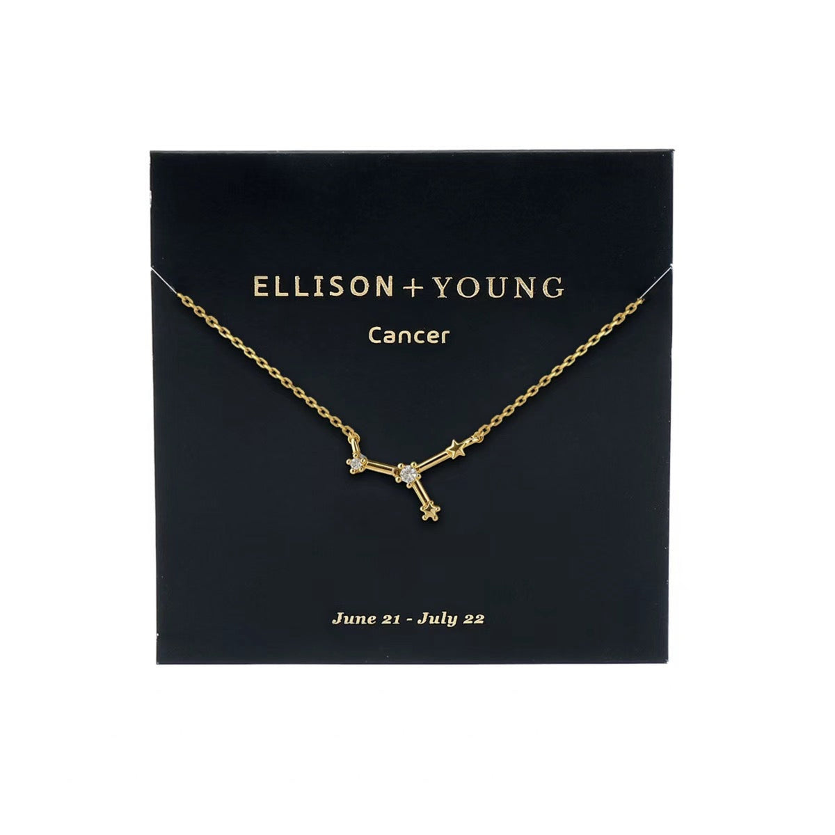 Zodiac Collection Necklace
