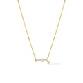 Zodiac Collection Necklace