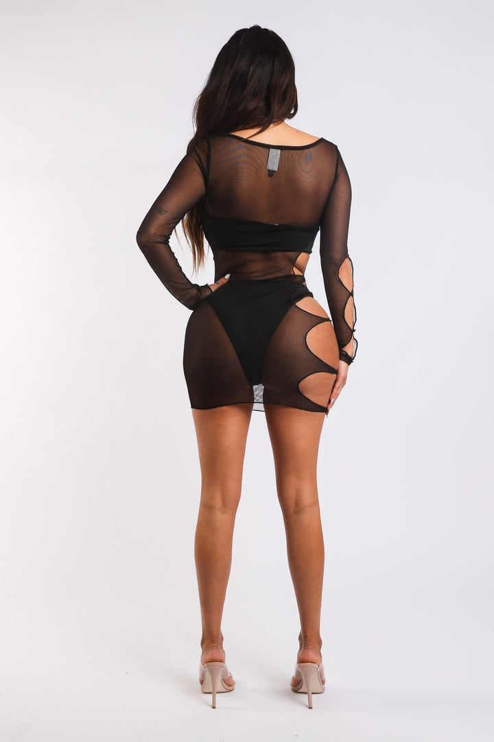 Sexy Cut Out Detailed Long Sleeve Mesh Sheer Dress BLACK