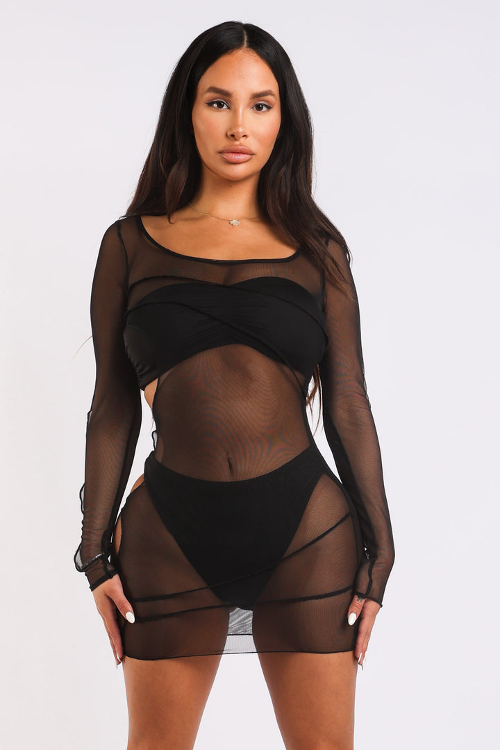 Sexy Cut Out Detailed Long Sleeve Mesh Sheer Dress BLACK