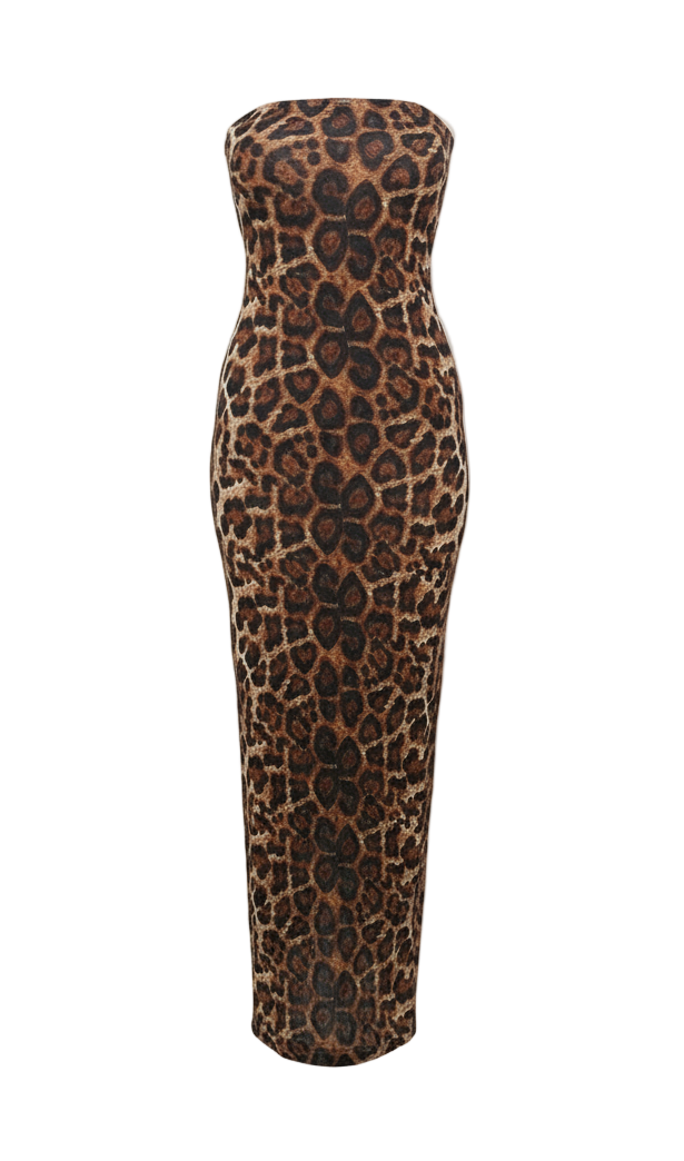 Leopard print maxi dress