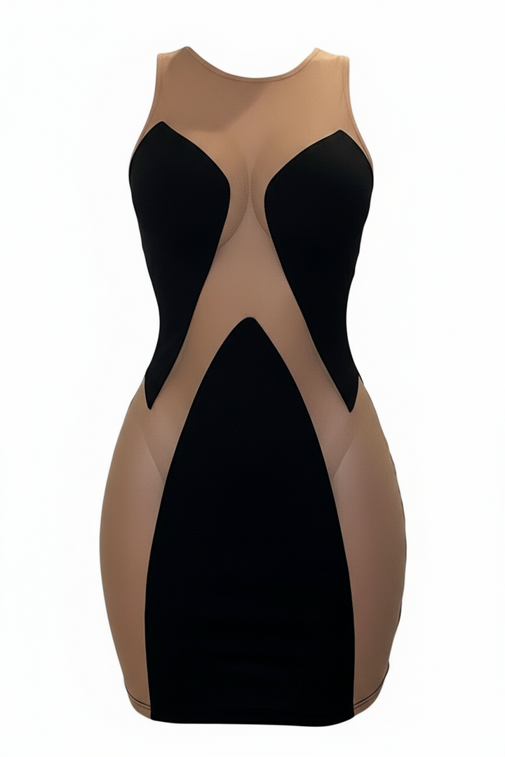 Spliced Bodycon Dress Black/Nude Mesh