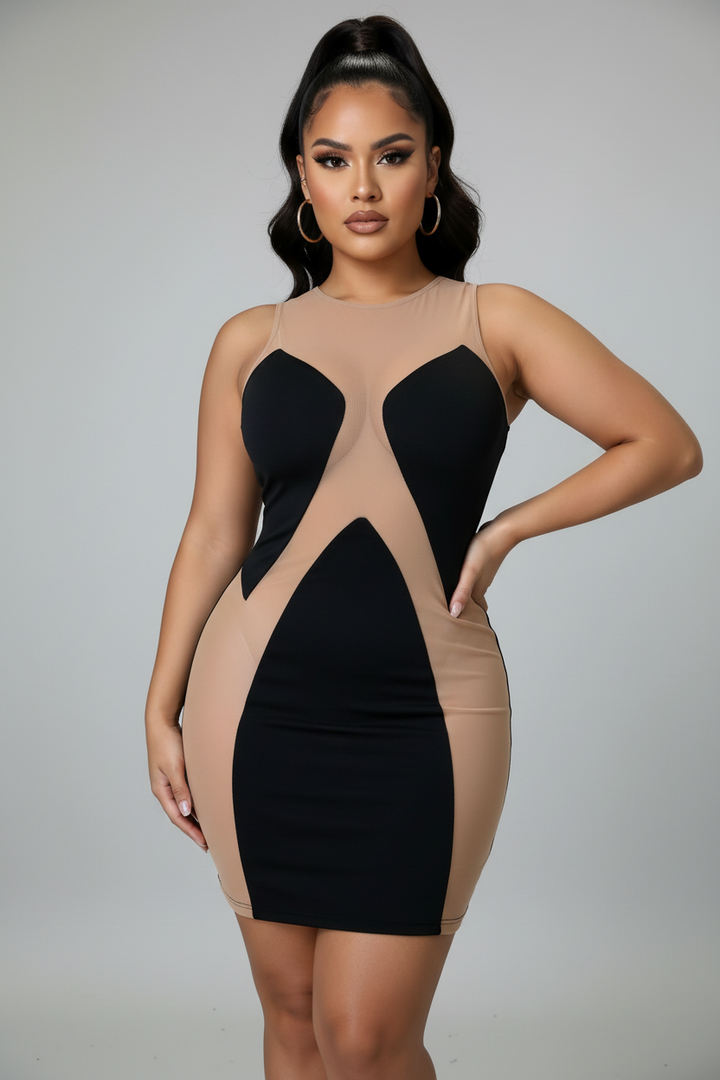 Spliced Bodycon Dress Black/Nude Mesh